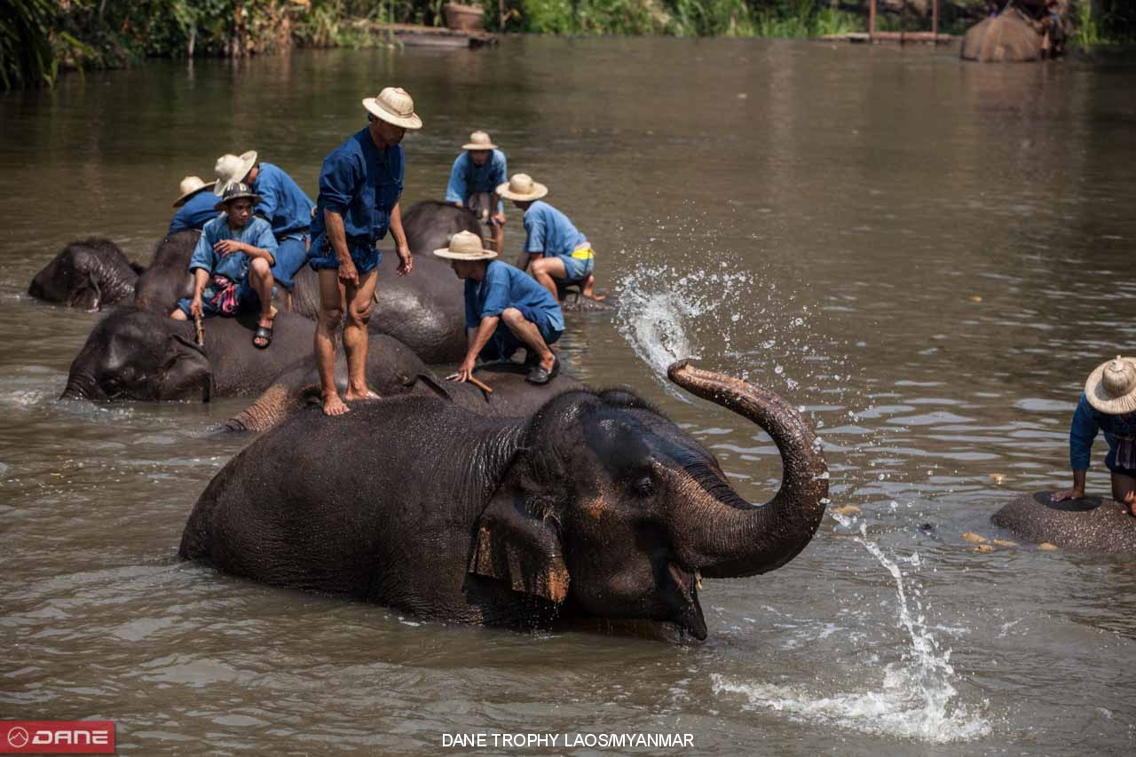 DANE TROPHY THAILAND/LAOS