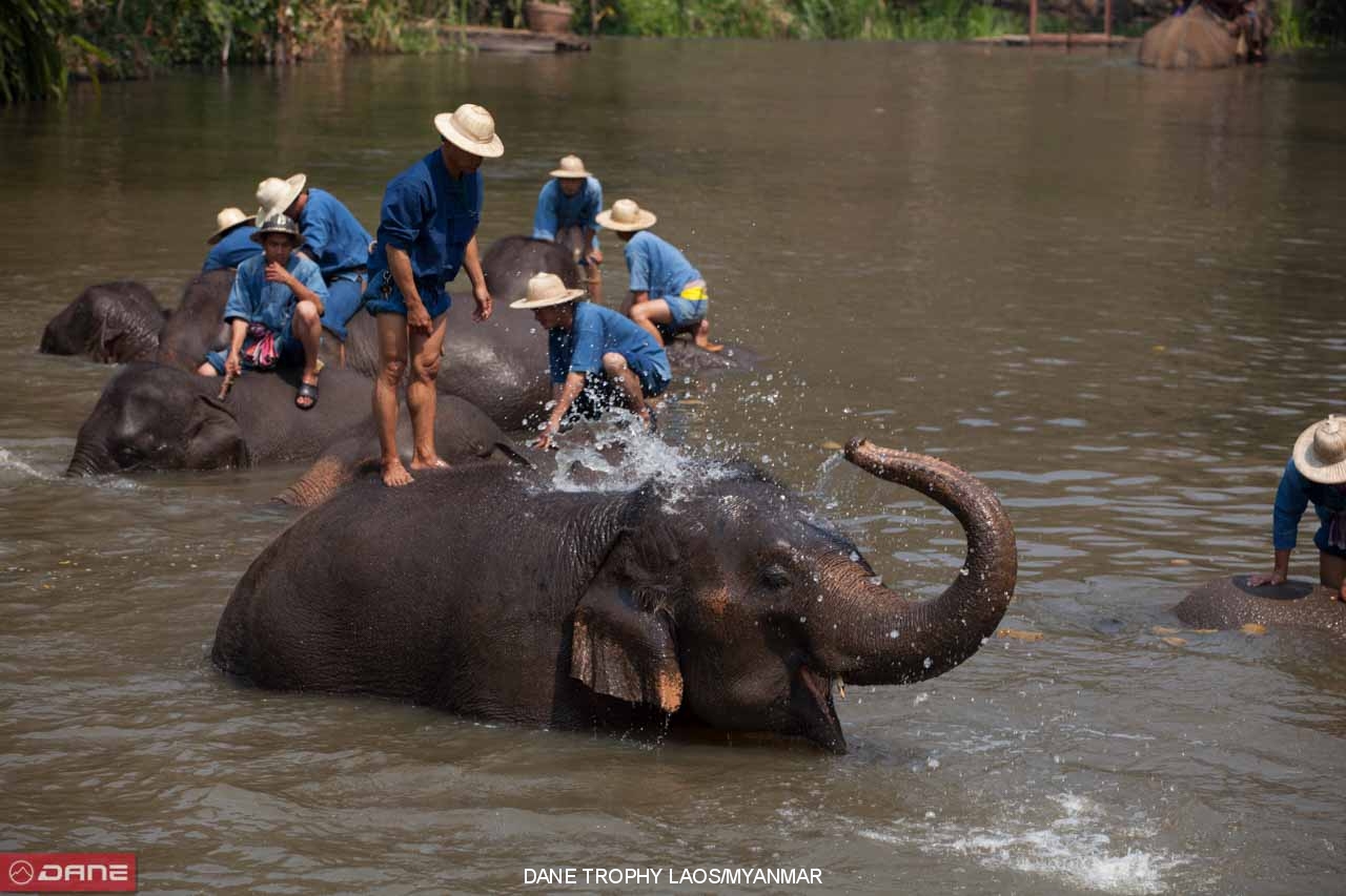 DANE TROPHY THAILAND/LAOS