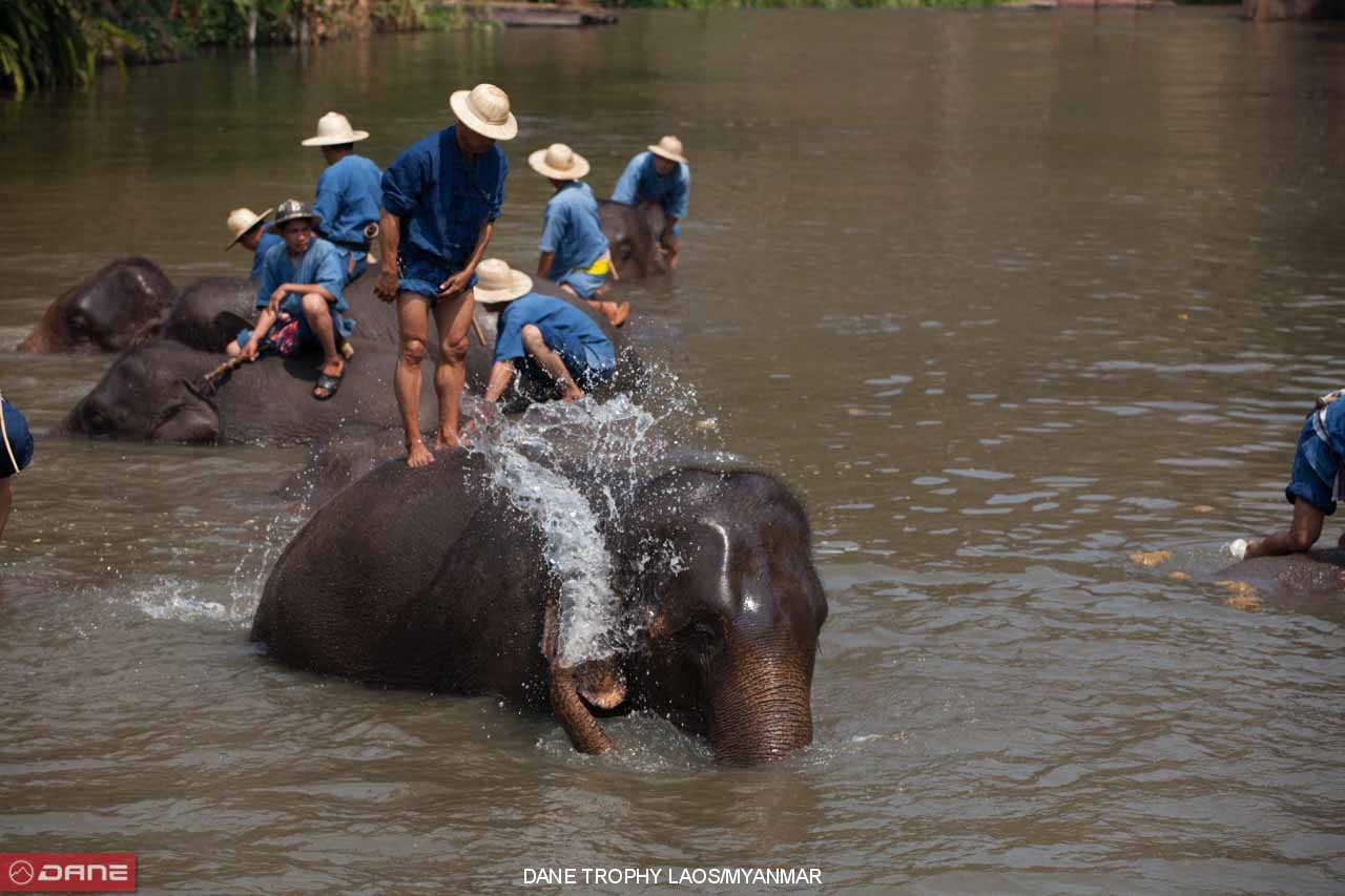 DANE TROPHY THAILAND/LAOS