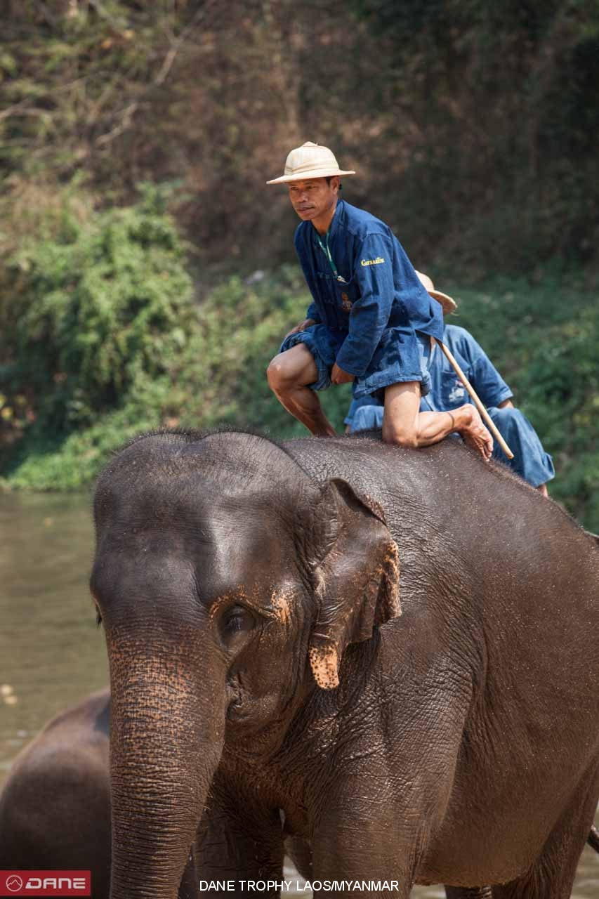 DANE TROPHY THAILAND/LAOS